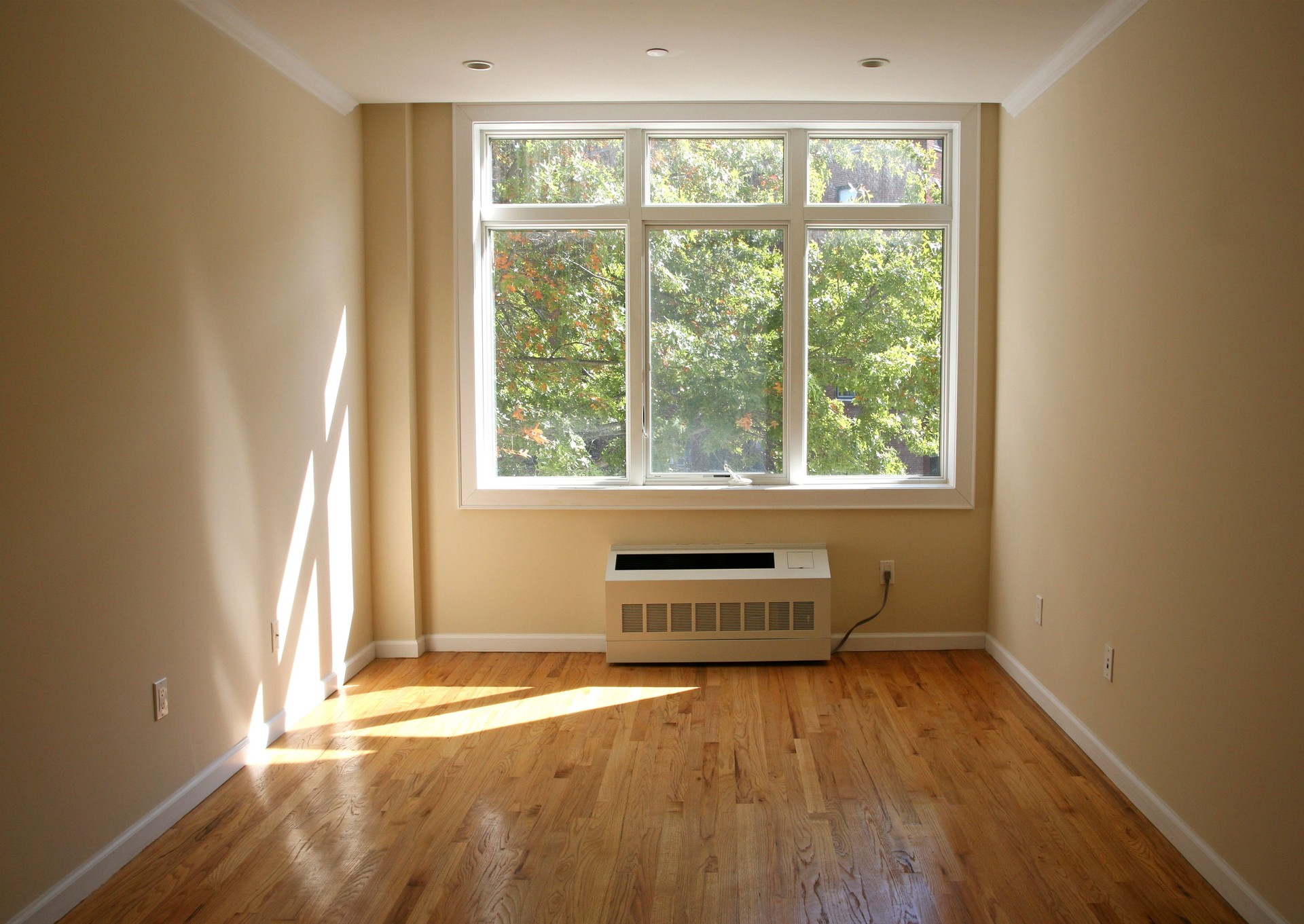 Window In Empty Room